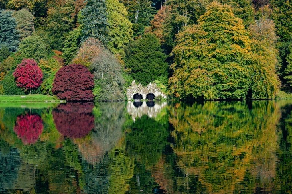 AWW Nature 002