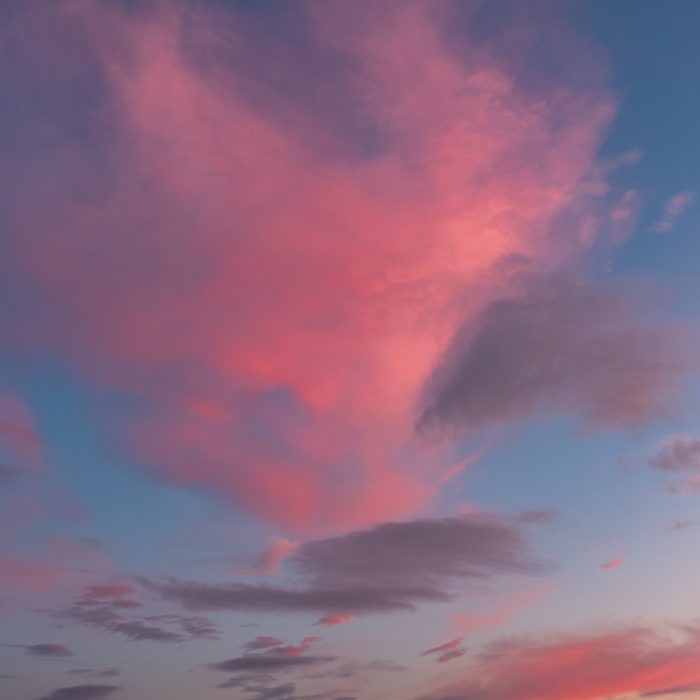 AWW Nature 028