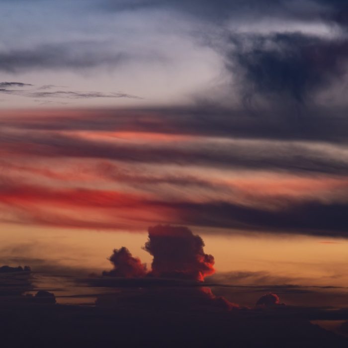 AWW Nature 030