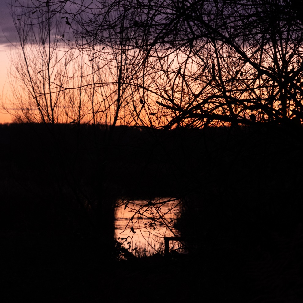 AWW Nature 065