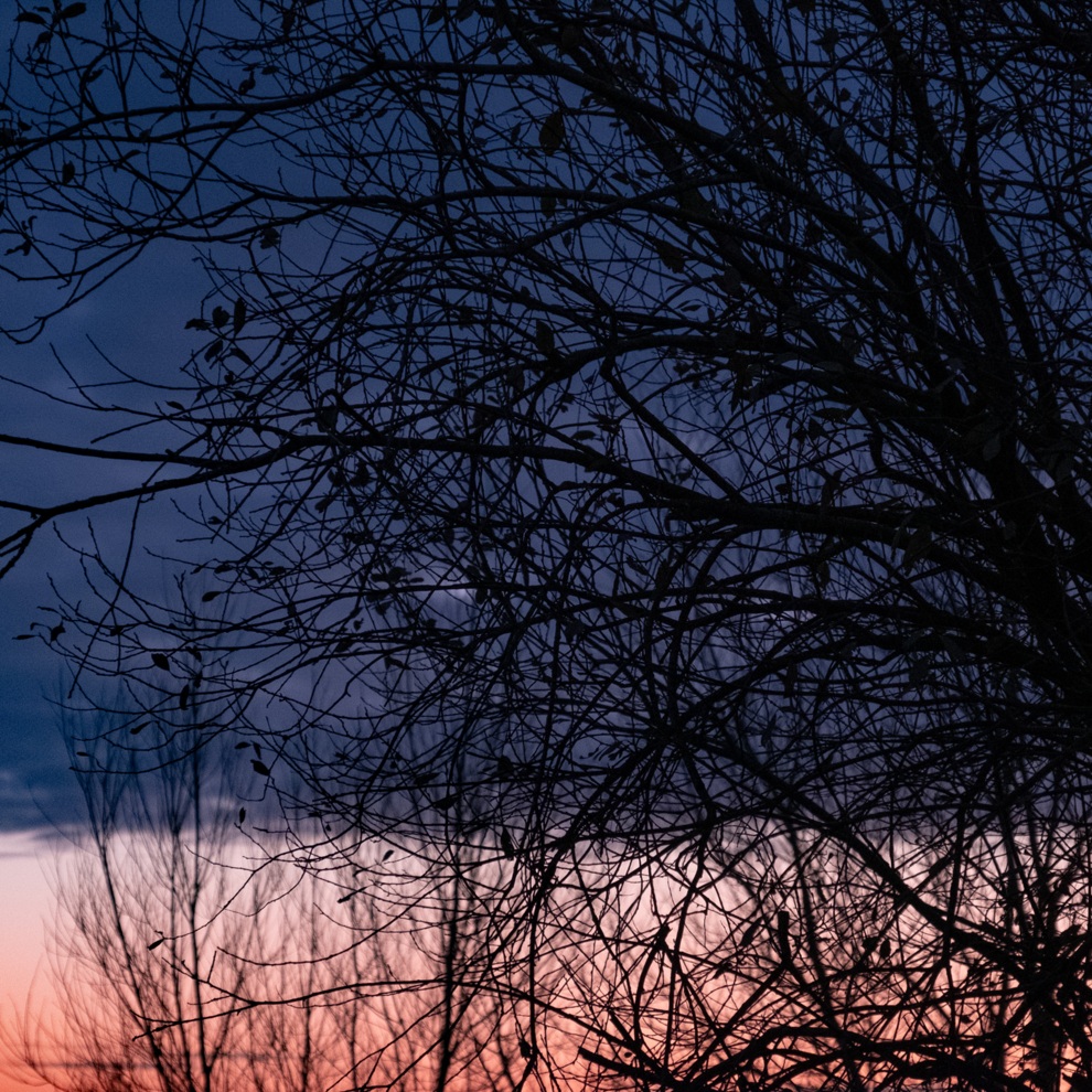 AWW Nature 066
