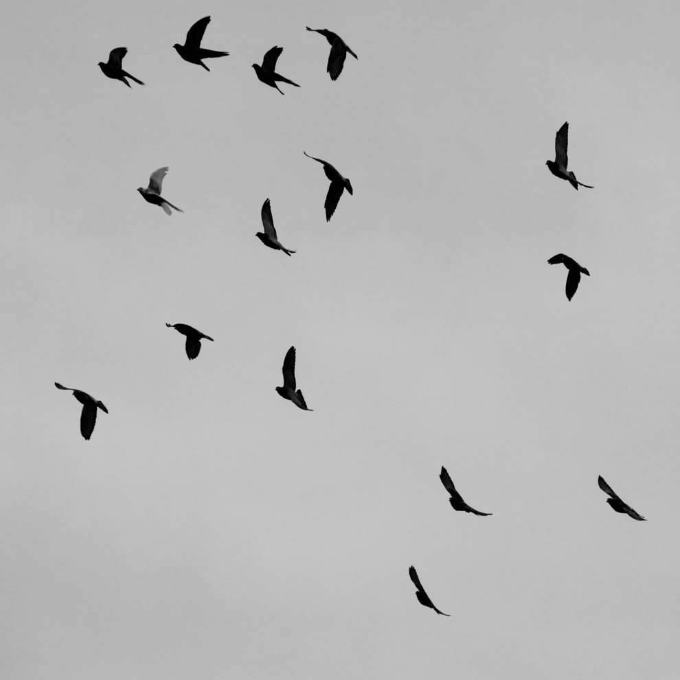 AWW Nature 067