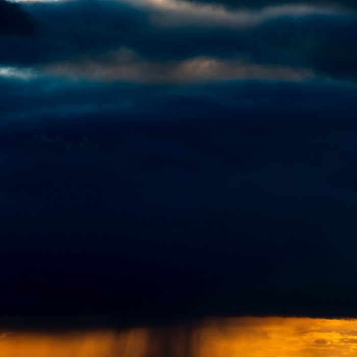 AWW Nature 089