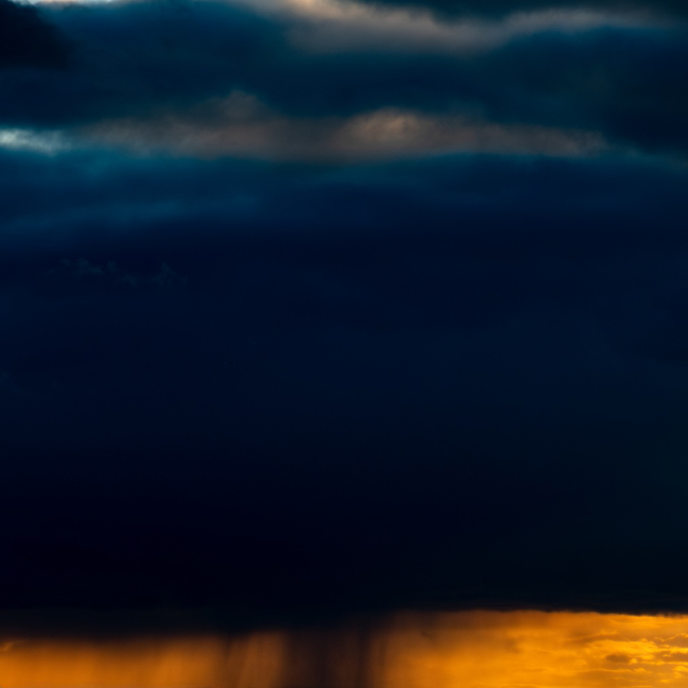 AWW Nature 089