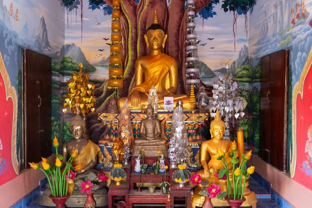 AWW Buddhism (51)