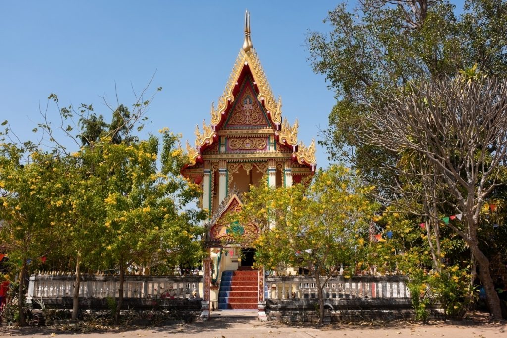 AWW Buddhism (53)