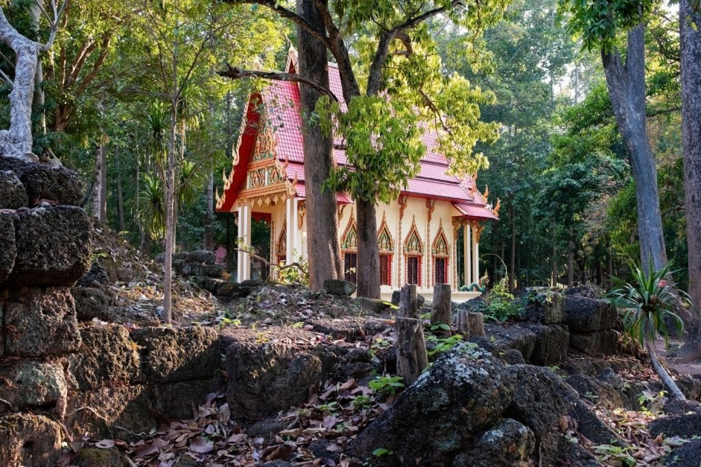 AWW Buddhism (55)