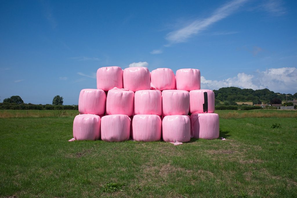 DSCF0827 1 sharp raw 1485