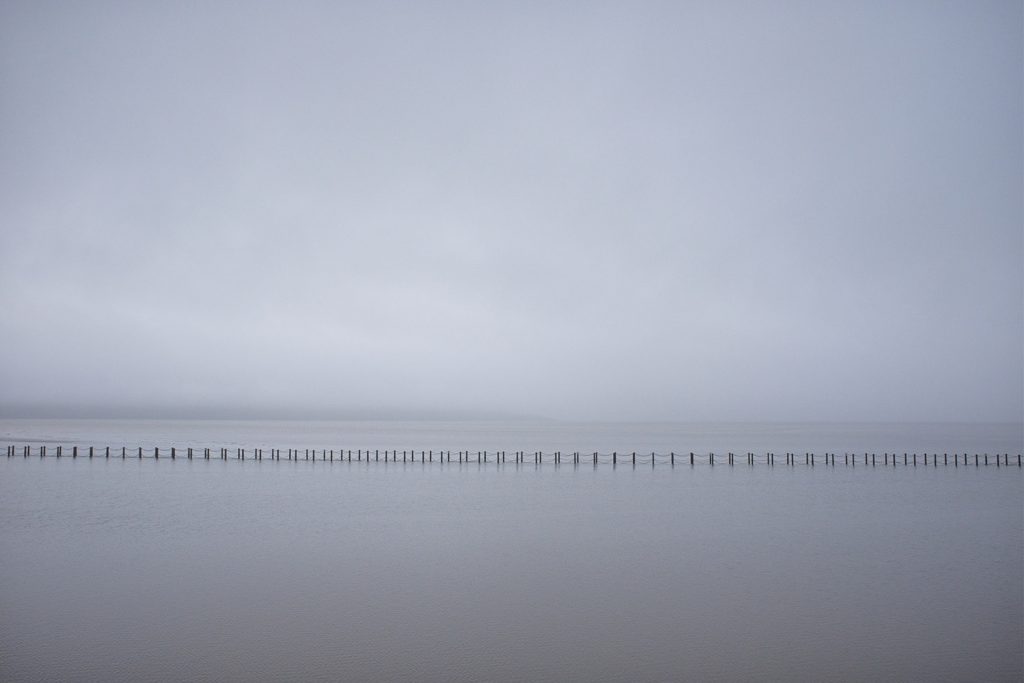 DSCF3330 3 sharp raw 1485