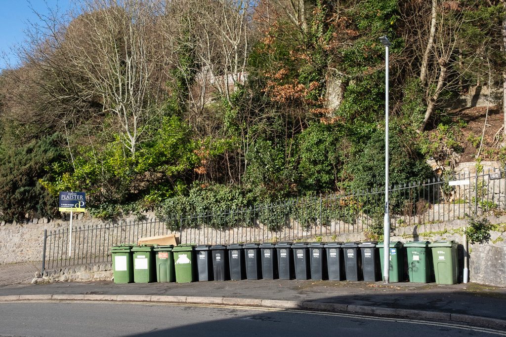 DSCF3646 sharp raw 1485 copy